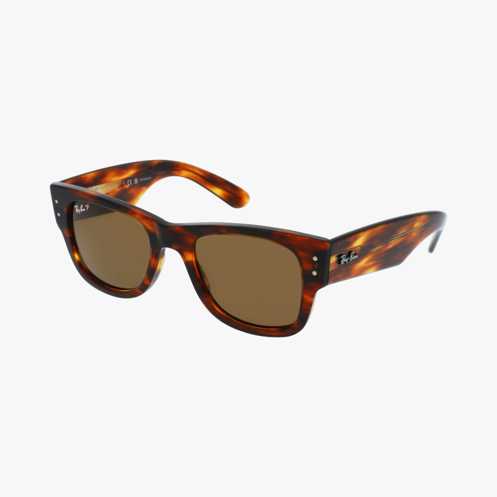 GAFAS DE SOL MEGA WAYFARER 0RB0840S carey - vista de frente