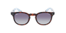 GAFAS DE SOL DRYDEN POLARIZED carey/azul