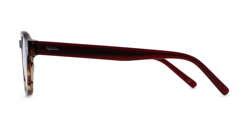 GAFAS GRADUADAS hombre MAGIC 162 carey rojo - vista de frente