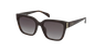 GAFAS DE SOL mujer STOB77V carey