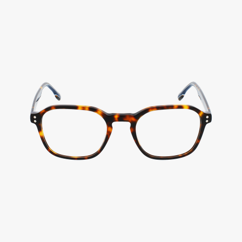 GAFAS GRADUADAS hombre MAGIC 207 carey vista de frente