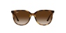 GAFAS DE SOL mujer RB4378 carey