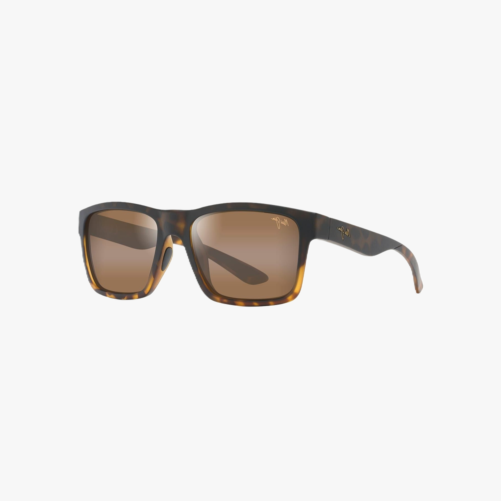 GAFAS DE SOL THE FLATS H897-10 negro - vista de frente