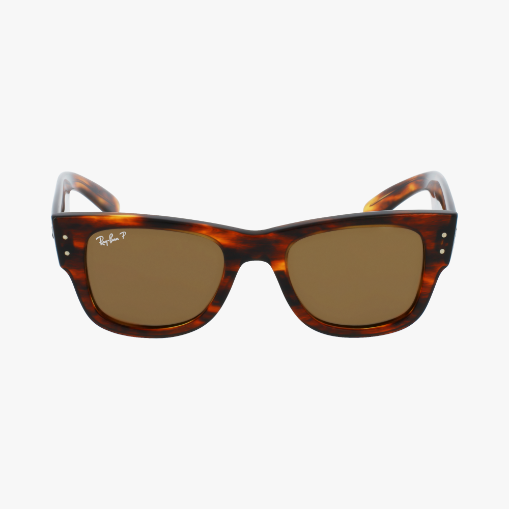 GAFAS DE SOL MEGA WAYFARER 0RB0840S carey - vista de frente