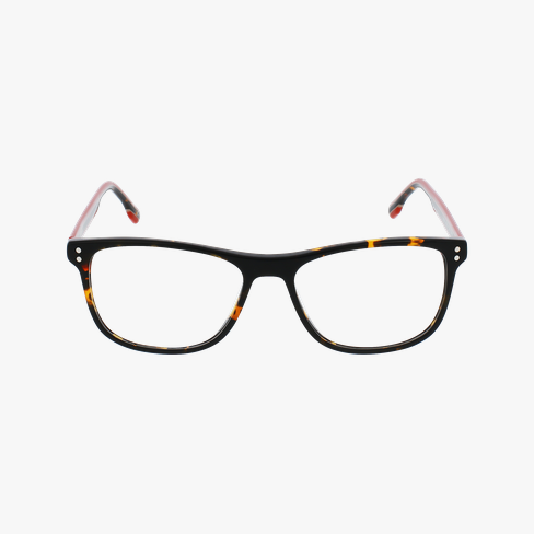 GAFAS GRADUADAS hombre MAGIC205 carey vista de frente